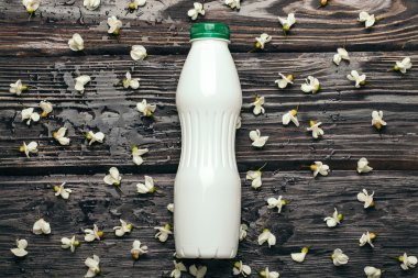 Plastik şişe ve akasya çiçek açması