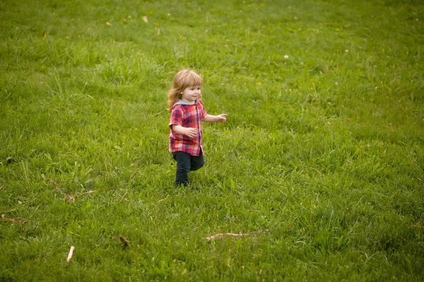 Kleine jongen op groen gras — Stockfoto