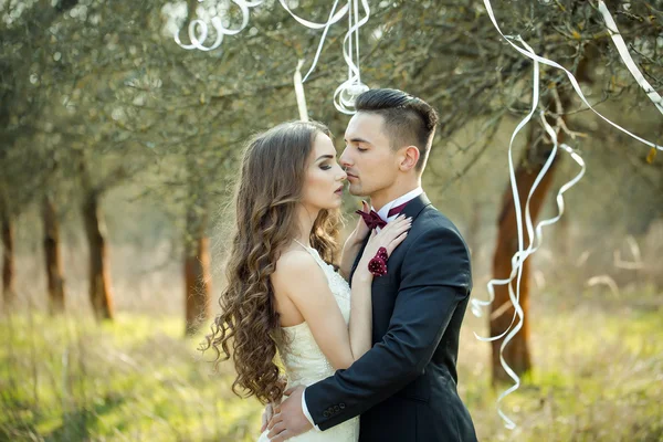 Boda pareja y cintas en el árbol —  Fotos de Stock