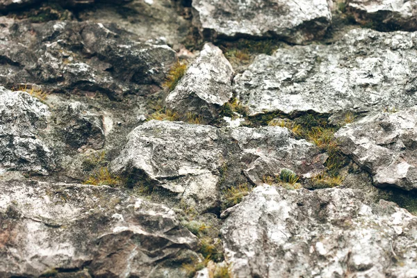 Gri Granit taş üzerinde yosun — Stok fotoğraf