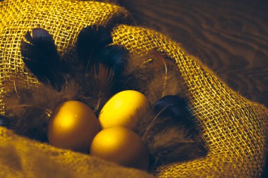 tüylü yerli yumurta