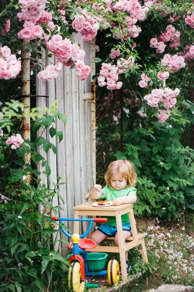 バラの茂みのそばを食べる小さな男の子 — ストック写真