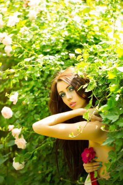 Gül bush yakınındaki kırmızı şapkalı seksi kadın