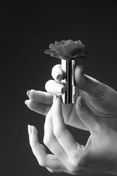 Vrouwelijke handen met rozen bloem — Stockfoto
