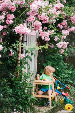 küçük çocuk gül bush yeme