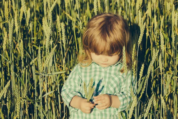 Spikelets 잔디의 녹색 분야에서 작은 소년 — 스톡 사진