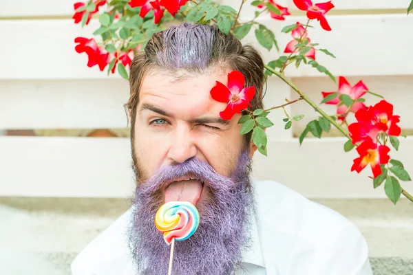 Bearded man with blue beard and lollipop — Stock Photo, Image