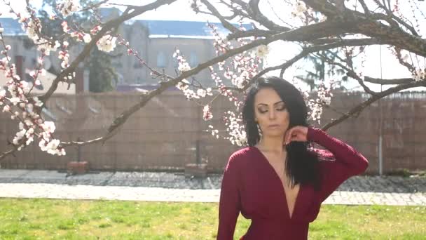 Linda morena em vestido vermelho se movendo sensualmente perto de uma árvore florescente — Vídeo de Stock