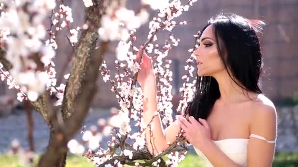 Bonita morena mirando las flores en una rama floreciente — Vídeo de stock