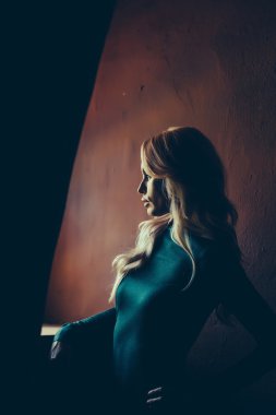 Muhteşem şehvetli sarışın kadın