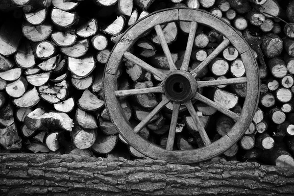 Pile di legno tagliato con una ruota — Foto Stock