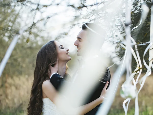 Hochzeitspaar und Schleifen am Baum — Stockfoto