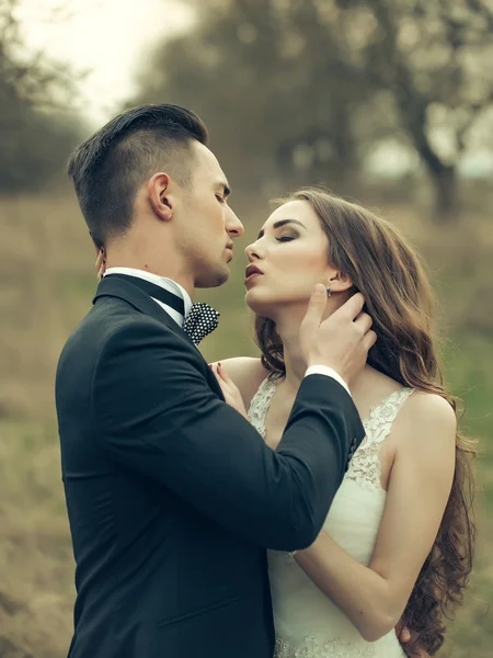 Happy wedding couple — Stock Photo, Image