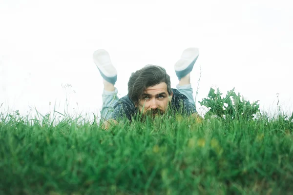 Homem barbudo que coloca na grama verde — Fotografia de Stock