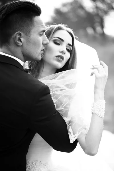 Sensual wedding couple — Stock Photo, Image