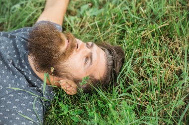 sakallı adam yeşil çimenlerin üzerinde döşeme