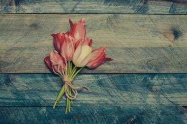ahşap arka plan üzerinde Pembe Lale çiçek