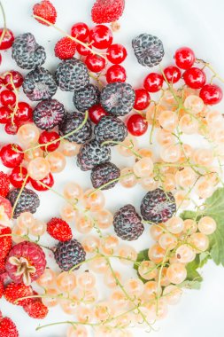 wild berries isolated on white