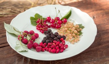 yabani çilek plaka üzerinde