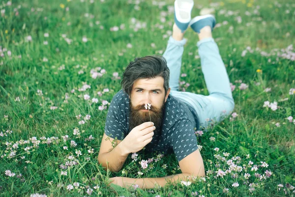 Homme barbu posé sur l'herbe verte — Photo