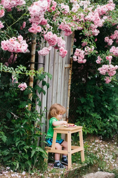 Pequeno menino comendo perto de rosa arbusto — Fotografia de Stock