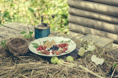 yabani çilek ve saman üzerinde yeşil elma