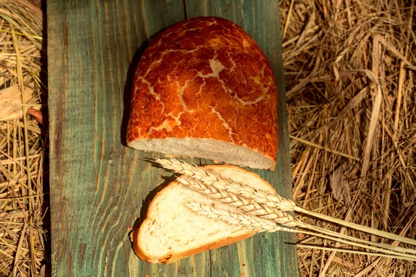Кусок хлеба и ломтик пшеницы — стоковое фото