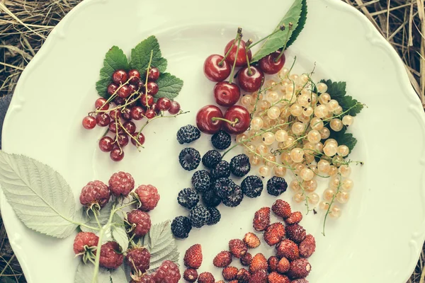 Frutti di bosco su piatto e paglia — Foto Stock