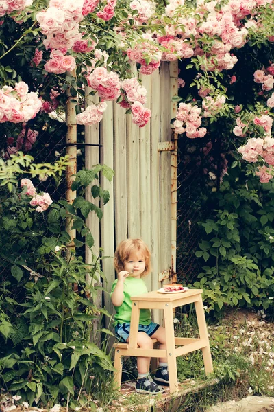 Pequeno menino comendo perto de rosa arbusto — Fotografia de Stock