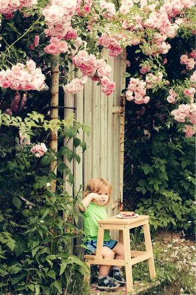 Kleiner Junge isst in der Nähe von Rosenbusch — Stockfoto