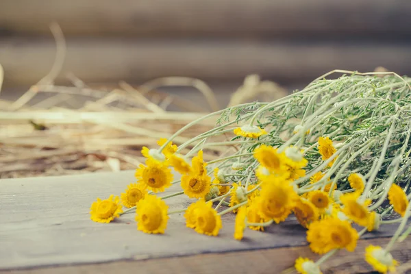 Yellow wild flower bouquet on wooden board — Φωτογραφία Αρχείου
