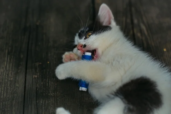 Roztomilé malé kotě hraní s vláknem — Stock fotografie