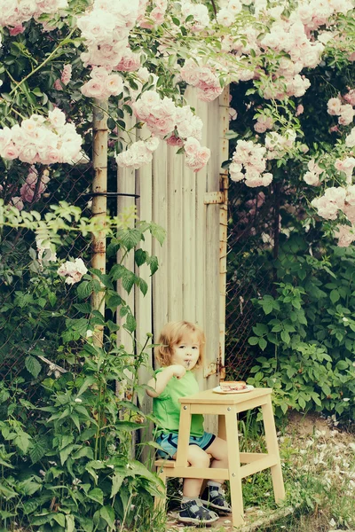Pequeno menino comendo perto de rosa arbusto — Fotografia de Stock