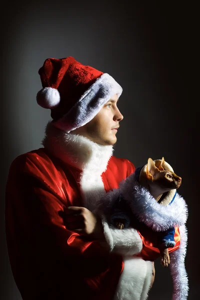 Człowiek Święty Mikołaj z Sfinks kot — Zdjęcie stockowe