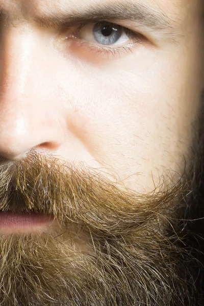 Hombre barbudo guapo —  Fotos de Stock