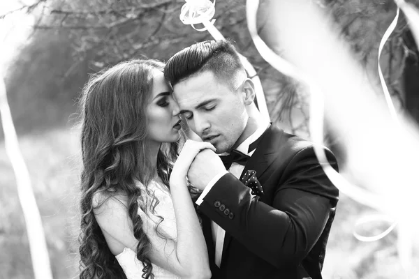 Wedding couple and ribbons on tree — Stock Photo, Image