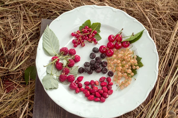 Wild berries on plate and straw — Stock Photo, Image