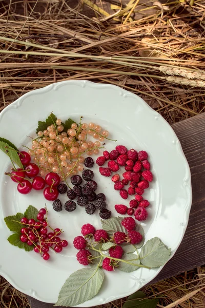 Wild berries on plate and straw — Stock Photo, Image