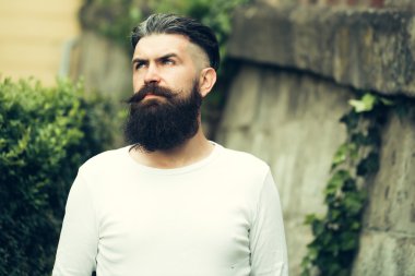 Şık sakallı adam açık