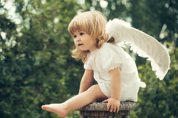 Little boy dressed as angel — Stock Photo, Image