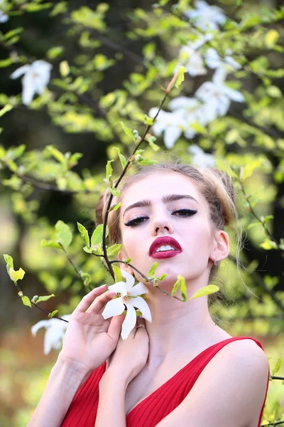 Donna attraente con albero di primavera — Foto Stock