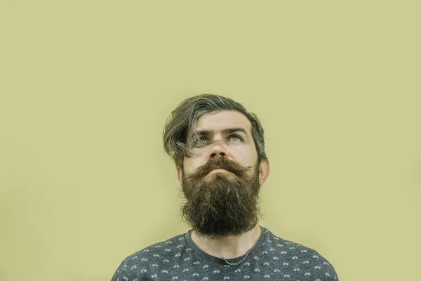 Vonzó férfi hosszú szakállal portréja — Stock Fotó