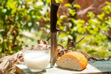 ekmek bıçağı ve süt Kupası