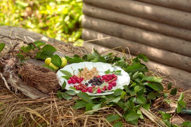 yabani çilek ve saman üzerinde yeşil elma