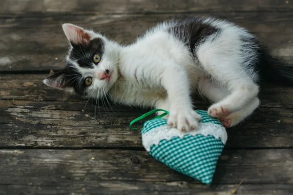 Χαριτωμένο μικρό γατάκι παίζει με το μαξιλάρι της καρδιάς — Φωτογραφία Αρχείου