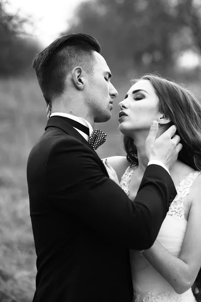 Happy wedding couple — Stock Photo, Image