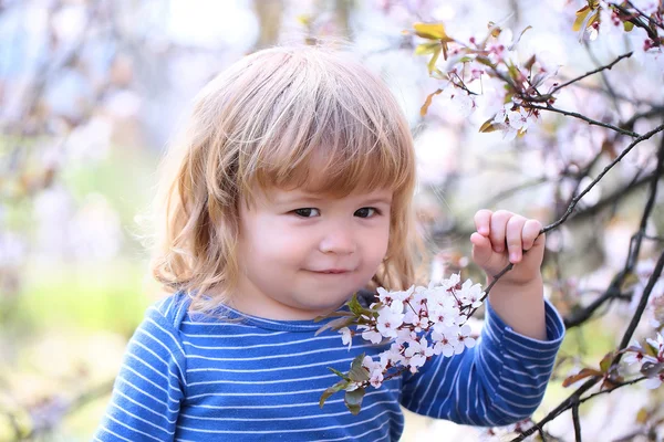 Niño pequeño con flor —  Fotos de Stock