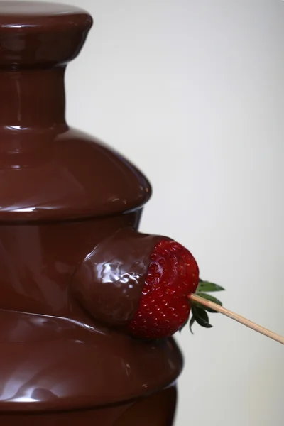 Strawberry in chicolate fountain — Stock Photo, Image