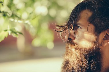 Sakallı adam açık