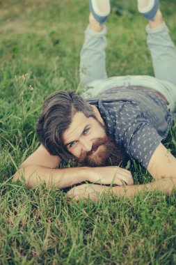 sakallı adam yeşil çim gülümseyen döşeme